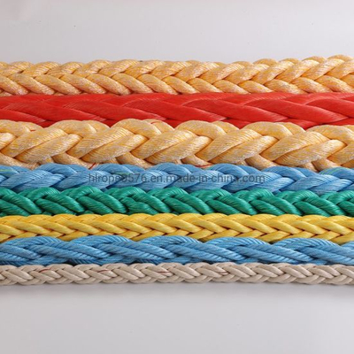 Rope PP / PE Rope / Poliester Tali / Nylon Rope / HMWPE Tali